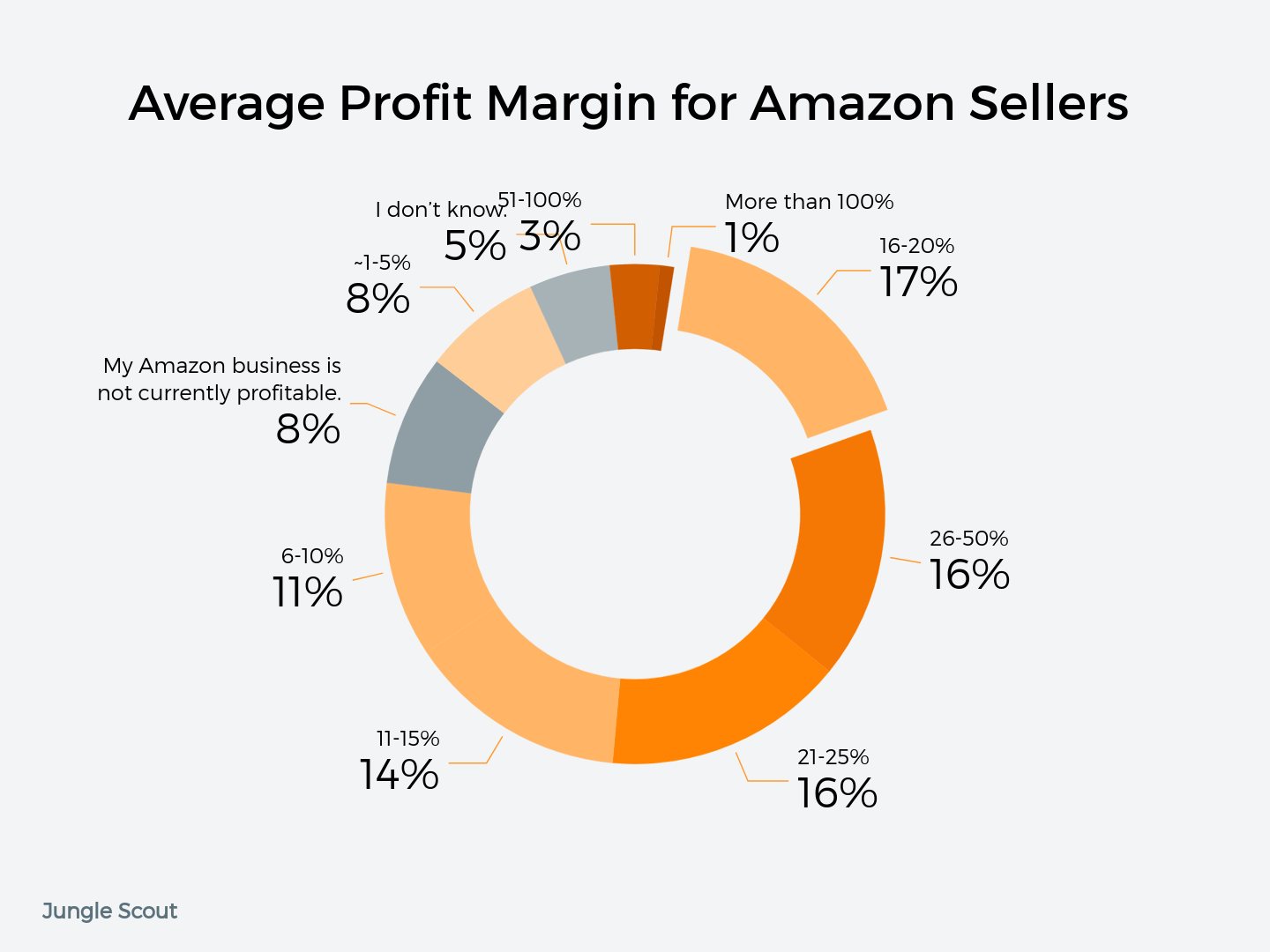 How much money. Amazon profits. Profit seller statistics on Amazon. Profit seller 2001 statistics on Amazon.